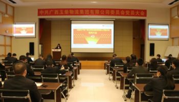 玉柴物流集團黨委完成換屆選舉,夯實黨建基礎