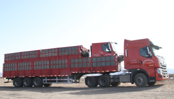 緊抓市場,協同共促 玉柴物流集團助力客戶物流運力再升級